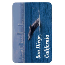 Wal a Time San Diego, CA