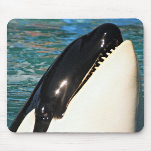 Wal auftauchend Ozeanblick Mousepad (Vorne)