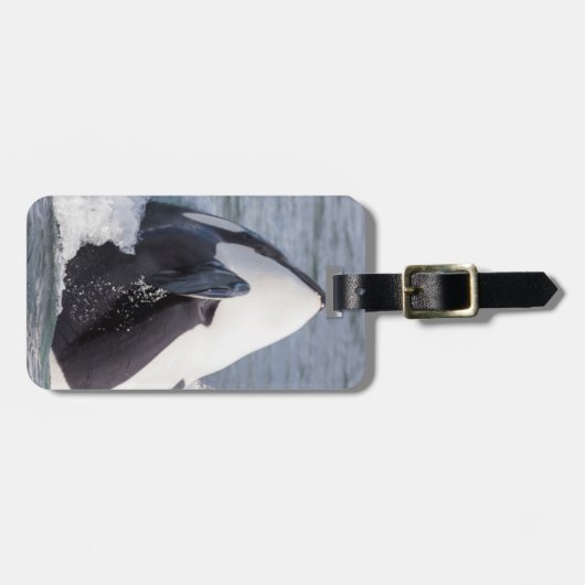 Wal-Brotaufstrich Gepäckanhänger (Vorderseite horizontal)