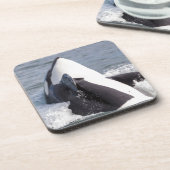 Wal-Brotaufstrich Getränkeuntersetzer (Linke Seite)