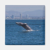 Wal einer Zeit Magnet (Vorne)