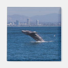 Wal einer Zeit Magnet