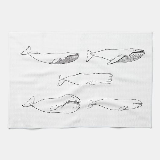 Wal-Illustration (Linie Kunst) Geschirrtuch (Horizontal)