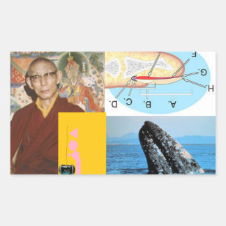 Wal im Nail Rechteckiger Aufkleber