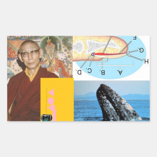 Wal im Nail Rechteckiger Aufkleber (Vorderseite)