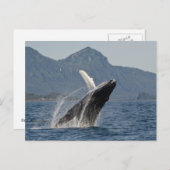 Wal Postkarte (Vorne/Hinten)