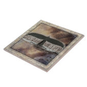 Wal-Schwanz-Fliesen-große (6" X 6") Fliese (Seite)