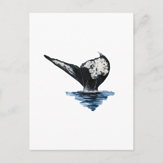 Wal-Schwanz Postkarte (Vorderseite)