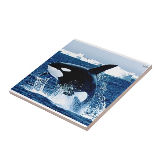 Wal-Spritzen Fliese (Seite)