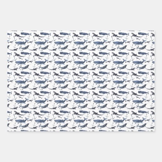 Wal- und Ankermuster Geschenkpapier Set (Vorderseite 3)