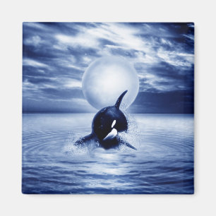 Wal und der Mond im Jahre 2012 Magnet