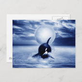 Wal und Mond 2012 Postkarte (Vorne/Hinten)