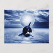 Wal und Mond 2012 Postkarte (Vorderseite)