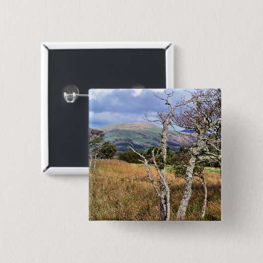 WALANSICHT BUTTON (Vorne & Hinten)