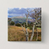 WALANSICHT BUTTON (Vorderseite)