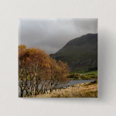 WALANSICHT BUTTON (Vorderseite)