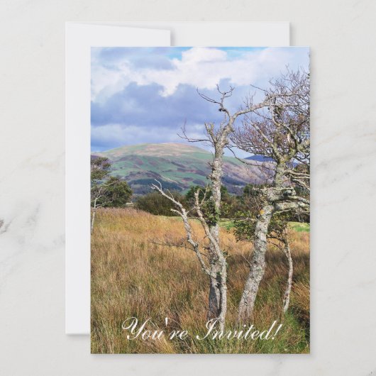 WALANSICHT EINLADUNG (Vorderseite)