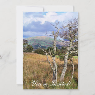 WALANSICHT EINLADUNG