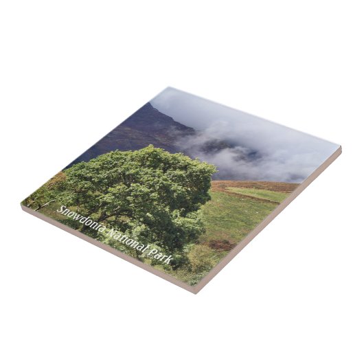 WALANSICHT FLIESE (Seite)