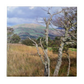 WALANSICHT FLIESE (Vorderseite)