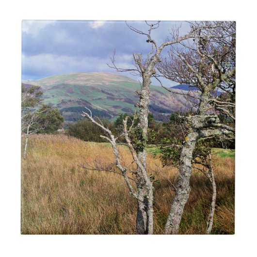 WALANSICHT FLIESE (Vorderseite)