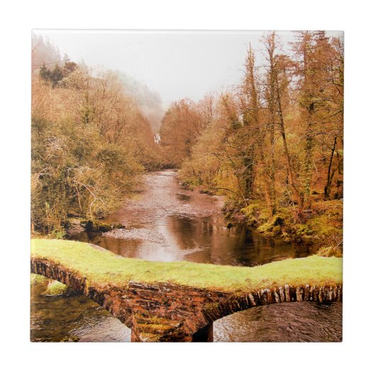 WALANSICHT FLIESE (Vorderseite)