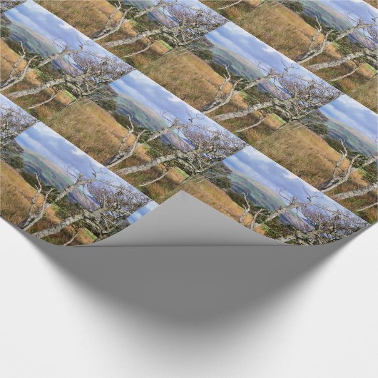 WALANSICHT GESCHENKPAPIER (Ecke)