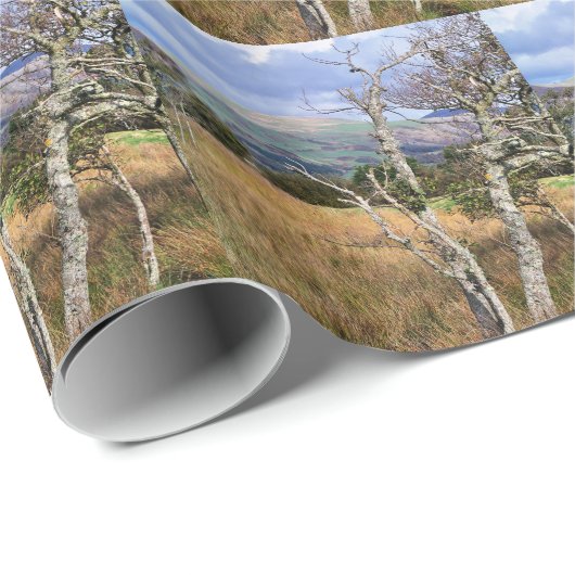 WALANSICHT GESCHENKPAPIER (Rolleneckpunkt)