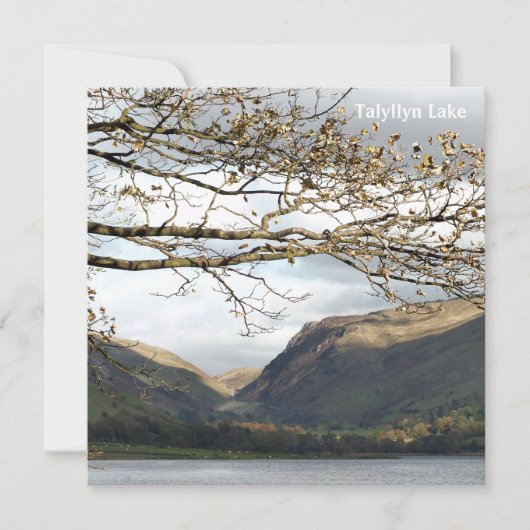 WALANSICHT KARTE (Vorderseite)