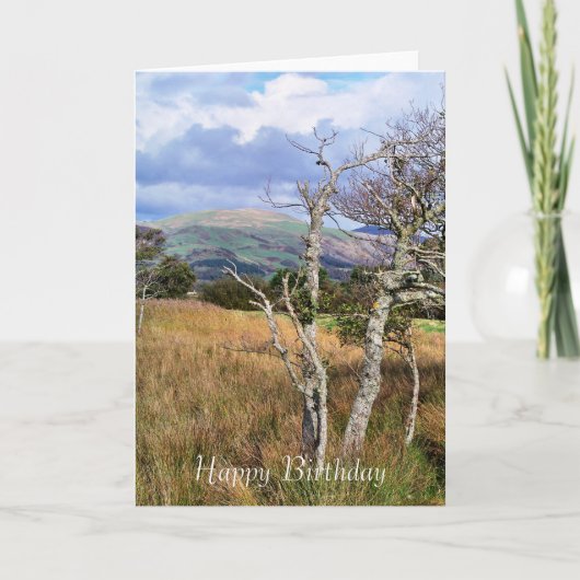 WALANSICHT KARTE (Vorderseite)