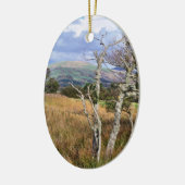 WALANSICHT KERAMIK ORNAMENT (Links)