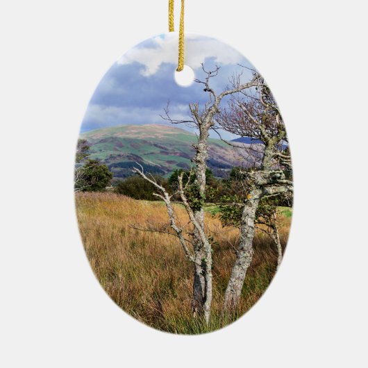 WALANSICHT KERAMIK ORNAMENT (Hinten)