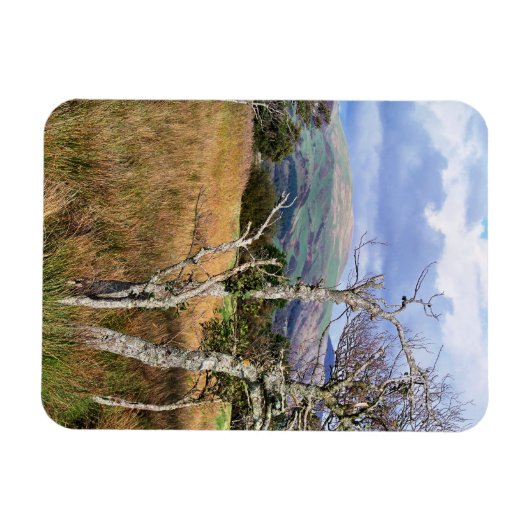 WALANSICHT MAGNET (Horizontal)