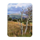 WALANSICHT MAGNET (Vertikal)