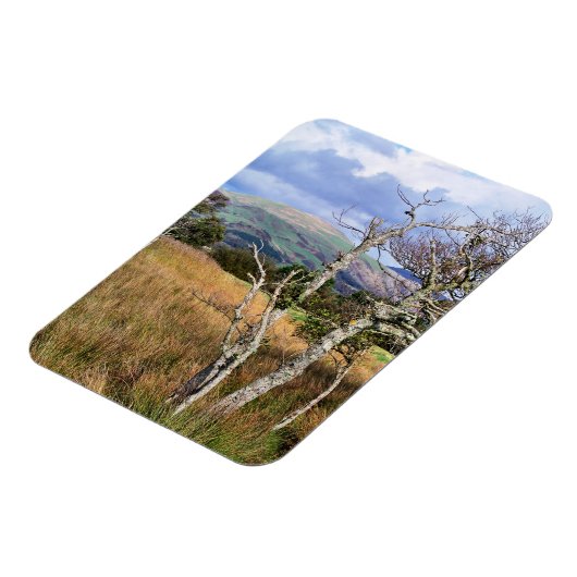 WALANSICHT MAGNET (Linke Seite)