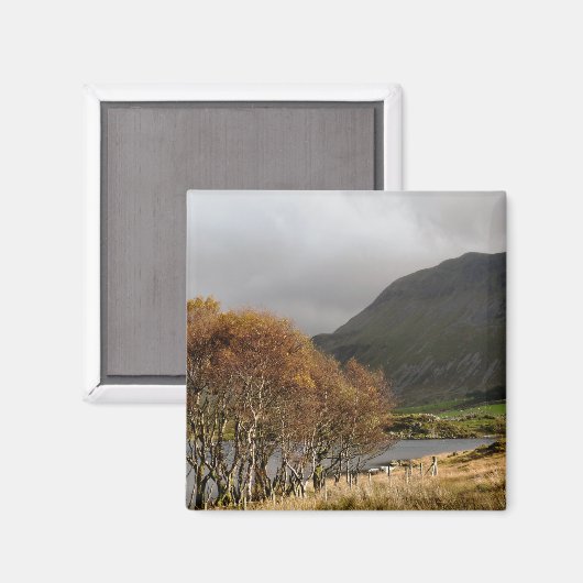 WALANSICHT MAGNET (Vorderseite/Rückseite)