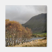 WALANSICHT MAGNET (Vorne)