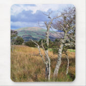 WALANSICHT MOUSEPAD (Vorne)