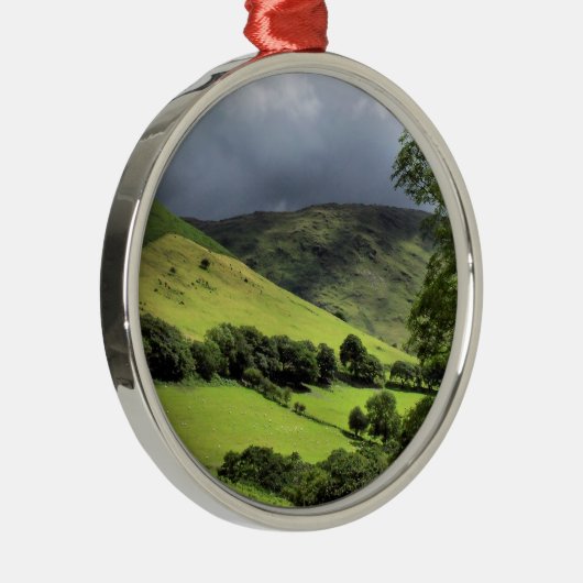 WALANSICHT ORNAMENT AUS METALL (Rechts)