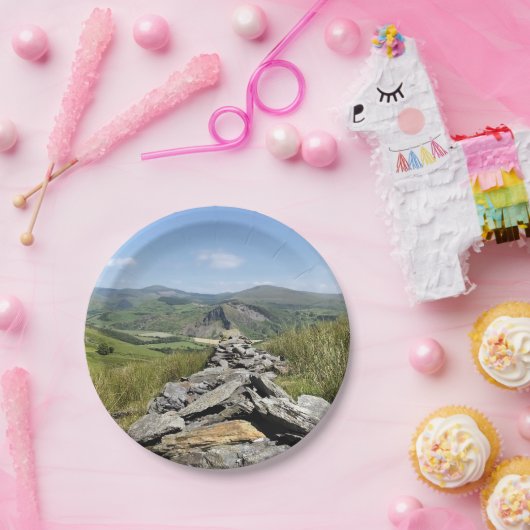 WALANSICHT PAPPTELLER (Party)