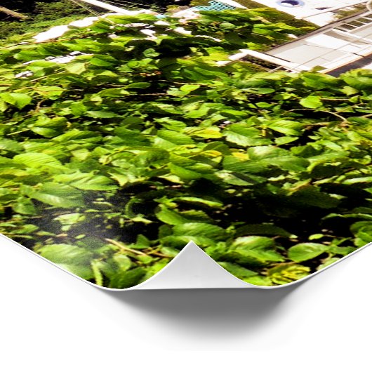 WALANSICHT POSTER (Ecke)