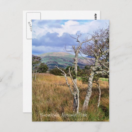 WALANSICHT POSTKARTE (Vorne/Hinten)