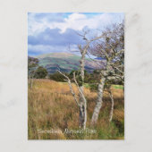 WALANSICHT POSTKARTE (Vorderseite)