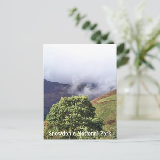 WALANSICHT POSTKARTE (Stehend Vorderseite)