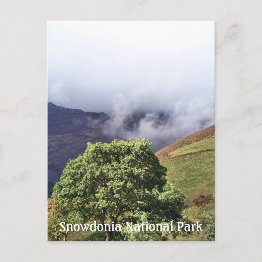 WALANSICHT POSTKARTE (Vorderseite)