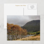 WALANSICHT POSTKARTE (Vorne/Hinten)