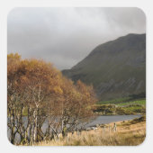 WALANSICHT QUADRATISCHER AUFKLEBER (Vorderseite)