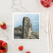 WALANSICHT SERVIETTE (Beispiel)