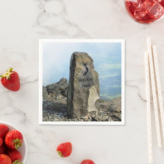 WALANSICHT SERVIETTE (Beispiel)