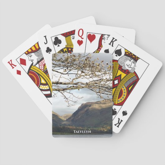 WALANSICHT SPIELKARTEN (Rückseite)